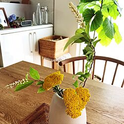 机/ダイニングテーブルの上/季節の枝物/植物/グリーンのある暮らし...などのインテリア実例 - 2017-06-02 11:20:24