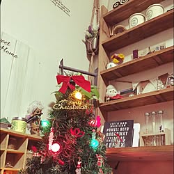 リビング/クリスマスツリー/北海道でベランダガーデン/ハンドメイド/多肉植物...などのインテリア実例 - 2015-12-17 17:58:21