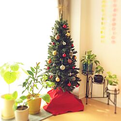 リビング/クリスマスツリー/観葉植物/雑貨/北欧...などのインテリア実例 - 2015-12-22 12:54:33