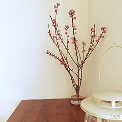 机/桜のインテリア実例 - 2016-02-17 17:55:39