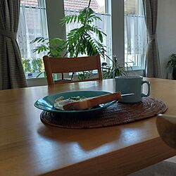 キッチン/モーニングコーヒー/あさ/観葉植物/好きな風景のインテリア実例 - 2023-05-13 07:27:59