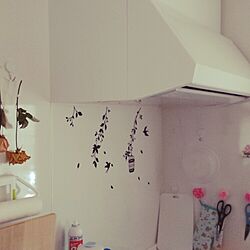 キッチン/DIY/造花/セリア/壁飾り...などのインテリア実例 - 2015-06-01 13:30:02