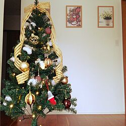 玄関/入り口/クリスマス/クリスマスツリーのインテリア実例 - 2016-12-13 12:46:20