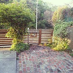 庭/木製フェンス/DIY/レンガのインテリア実例 - 2014-04-23 06:24:11