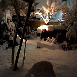 玄関/入り口/お庭/ガーデン/雪景色のインテリア実例 - 2014-02-15 12:21:12