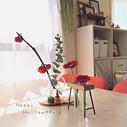 花なす/花のある暮らし/お花のある暮らし/ハロウィン/賃貸インテリア...などのインテリア実例 - 2020-10-31 08:08:40