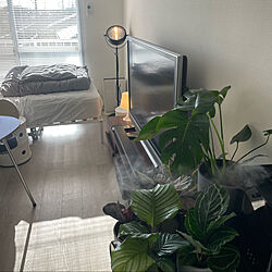 観葉植物/IKEA/一人暮らし/リビングのインテリア実例 - 2022-01-12 10:12:20