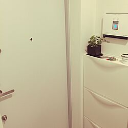 玄関/入り口/IKEA/観葉植物のインテリア実例 - 2016-10-31 21:44:10