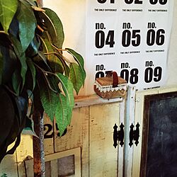 キッチン/フェイクグリーン/ダイソー/黒板扉DIY/扉 DIY...などのインテリア実例 - 2016-06-02 08:36:39