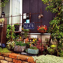 玄関/入り口/植物/ナンバープレート/IKEA/お庭のインテリア実例 - 2015-11-09 09:09:37