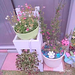 バス/トイレ/カメラマークが出たので/花のある暮らし/手作りの庭/いいね＆コメントいつもアリガトウ♡...などのインテリア実例 - 2023-05-17 22:32:44