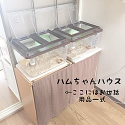 棚/からーボックス/ハムスター/収納/ナチュラル...などのインテリア実例 - 2017-06-10 08:39:28