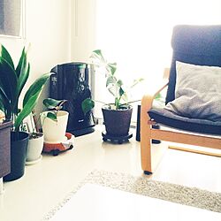 部屋全体/観葉植物/IKEAのインテリア実例 - 2015-07-18 16:01:07