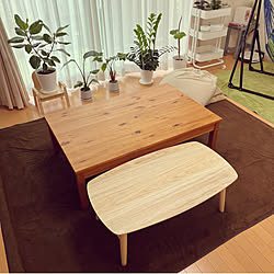 フィカスアルテシマ/アルテシマ/クワズイモ/ウンベラータ/SELECT FURNITURE...などのインテリア実例 - 2023-06-25 11:49:46