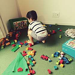 リビング/LEGO/アンパンマン/IKEAのインテリア実例 - 2015-08-18 17:39:53