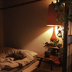 ベッド周り/お気に入りに囲まれて/お気に入りのランプ/観葉植物/一人暮らしのインテリア実例 - 2018-05-06 21:19:48
