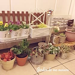 玄関/入り口/植物/流木ベンチ/蛇口付きプランター/リメ缶多肉...などのインテリア実例 - 2014-02-10 19:35:23