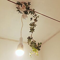 壁/天井/照明のインテリア実例 - 2016-01-01 23:02:14