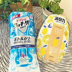 リピート買いアイテム/トイレのスッキーリ！/シチリアレモンの香り/フェイクグリーン/消臭力お部屋...などのインテリア実例 - 2022-07-22 18:55:26