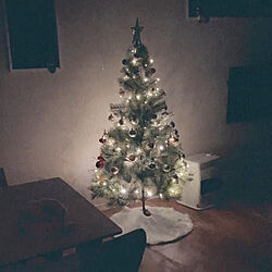 リビング/クリスマスツリー/マイホームのインテリア実例 - 2024-05-10 23:42:17