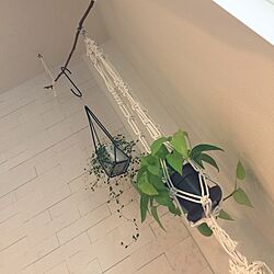 壁/天井/ハンドメイド/DIY/ハンガープラント/観葉植物のインテリア実例 - 2016-01-24 15:45:03