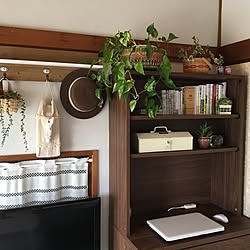 机/観葉植物/雑貨/植物/セリア...などのインテリア実例 - 2017-05-24 12:17:13