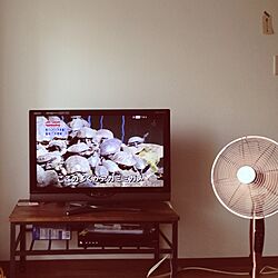 リビング/亀/テレビ台/扇風機/アイアン家具のインテリア実例 - 2013-06-10 13:50:46
