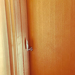 壁/天井/ドアノブリメイク/猫と暮らす/開けたら閉めろって/ドアを開ける猫のインテリア実例 - 2024-02-04 14:11:54