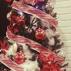 リビング/ﾂﾘｰﾃﾞｺ/クリスマスツリー/赤でしょｯ!!/リボン巻き巻き...などのインテリア実例 - 2015-12-19 21:53:25