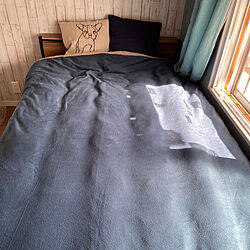 ベッド周り/ニトリのインテリア実例 - 2024-01-04 23:07:07