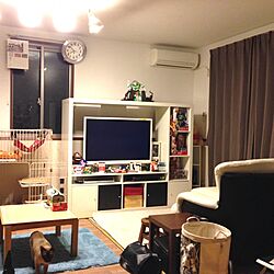 部屋全体/IKEA/1LDK 1人暮らし/1LDKのインテリア実例 - 2013-10-14 13:30:12