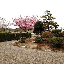 春/庭のインテリア実例 - 2013-05-11 14:45:30