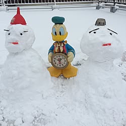 壁/天井/インテリアじゃなくてすみません/寒すぎて 変な顔/屋上で、雪だるまのインテリア実例 - 2016-01-24 10:37:36