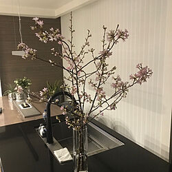 桜のインテリア実例 - 2023-03-04 19:58:41
