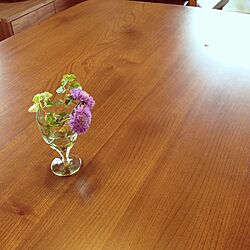 リビング/ダイニングテーブル/植物のインテリア実例 - 2013-04-20 12:00:58