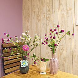リビング/紫の壁/フランフラン/花のある生活/花のある暮らし...などのインテリア実例 - 2016-10-01 13:39:06