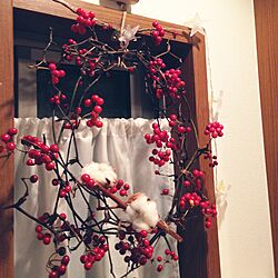 壁/天井/リース/サンキライ/赤い実/植物...などのインテリア実例 - 2015-12-13 17:30:34