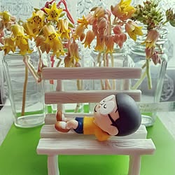 花のある暮らし/百均/ダイソー/ミニチュアベンチ/のび太くん...などのインテリア実例 - 2023-04-25 15:19:06