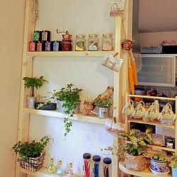 棚/カフェ風/観葉植物/コーヒーカップ/DIY...などのインテリア実例 - 2017-01-15 12:27:54