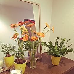 玄関/入り口/観葉植物/ガーベラ/IKEA/ナチュラルのインテリア実例 - 2016-09-03 11:18:27