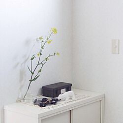 玄関/入り口/IKEA/DIY/メンズ部屋のインテリア実例 - 2015-03-17 10:52:33