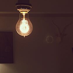 壁/天井/エジソンランプ/照明悩み中。/裸電球/照明...などのインテリア実例 - 2015-02-09 23:05:25
