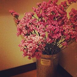 玄関/入り口/お花/植物のインテリア実例 - 2013-05-13 09:46:22