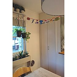 壁/天井/植物/ダイソーのインテリア実例 - 2017-05-27 19:37:35