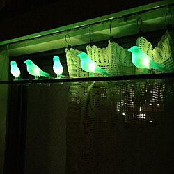 部屋全体/ライトアップ/鳥の照明/IKEA/神奈川県民...などのインテリア実例 - 2015-08-23 21:23:22