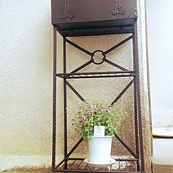 部屋全体/部屋全体ではありません┏O )) /お花のある暮らし/❀ペラルゴニウム❀/郵便ポストの下...などのインテリア実例 - 2017-05-07 08:26:28