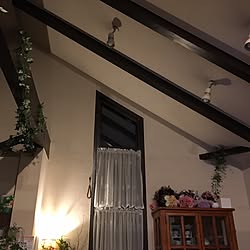壁/天井のインテリア実例 - 2017-06-16 23:39:22