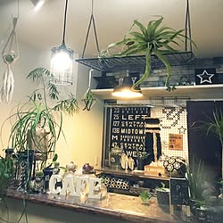 キッチン/パーフェクトフロアーズ/植物のある暮らし/男前化計画/ダイソー...などのインテリア実例 - 2017-01-14 18:32:04