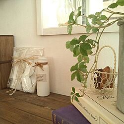 棚/室内グリーン/リメ瓶のインテリア実例 - 2013-08-27 17:33:45