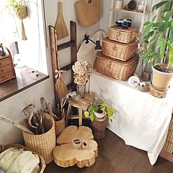 部屋全体/素材/観葉植物のある暮らし/麻紐のかご/切り株...などのインテリア実例 - 2024-04-08 10:16:12